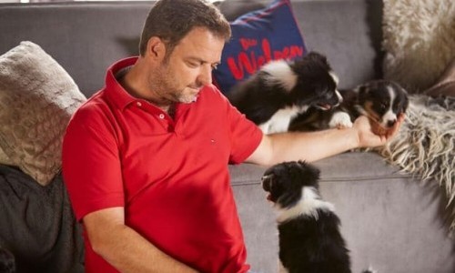 RTL: The puppies are coming - With Martin Rütter