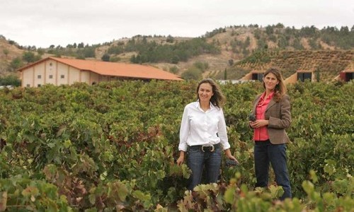 Wine & Dine: Spanien mit Bodegas Valduero