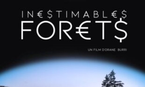 Projection : "Inestimables forêts" D'Orane Burri