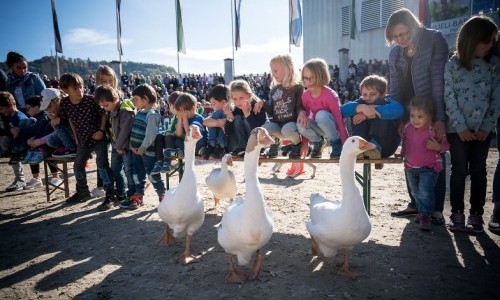 Olma – 81. Schweizer Messe für Landwirtschaft und Ernährung