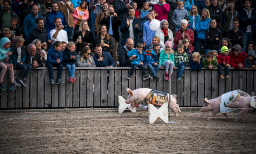 81. Olma, Schweizer Messe für Landwirtschaft und Ernährung