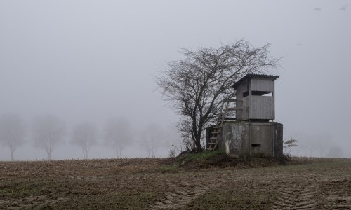 «Tat-Ort» – Fotografien zum Jahresthema 2024: Finissage