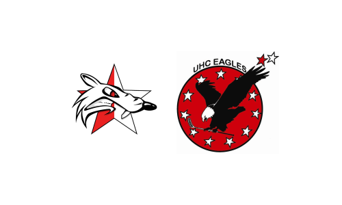 Sion Unihockey - UHC Eagles Savièse