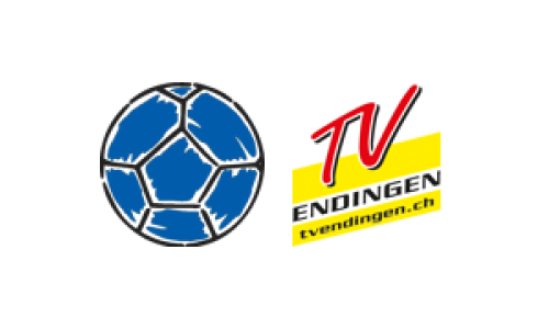 SG TV Stein - TV Endingen