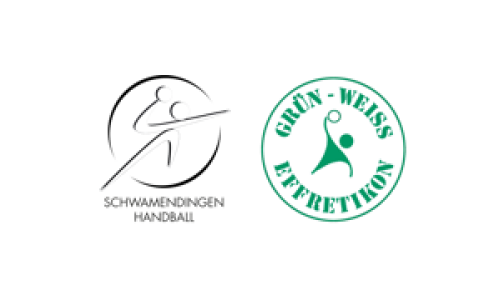 Schwamendingen Handball 1 - Grün-Weiss Effretikon 2