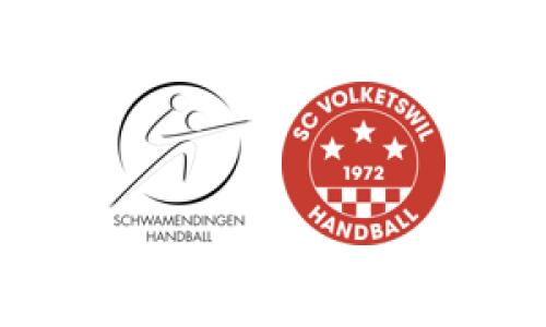 Schwamendingen Handball 1 - SC Volketswil 2