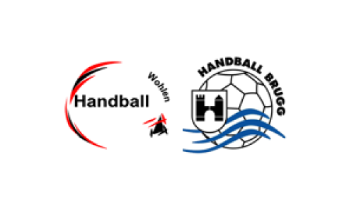 SG Freiamt PLUS 2 - HSG Handball Brugg