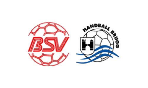 BSV RW Sursee - HSG Handball Brugg