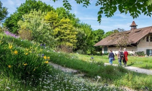 Montagsführung: Nachlese zum Tag der Natur