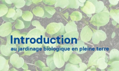 Introduction au jardinage biologique en pleine terre