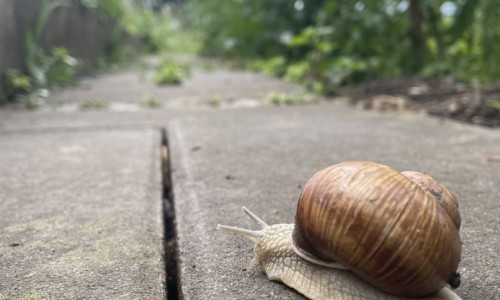 Drehbuch schreiben - der Kurs für den Start