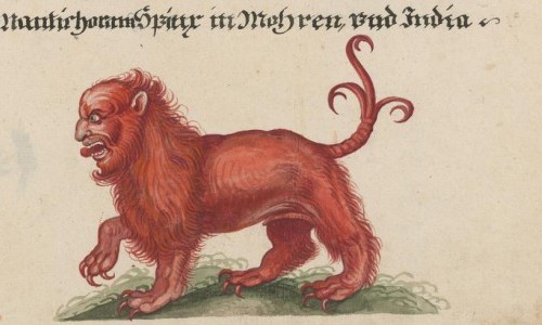 Von Löwen, Elefanten und Drachen – Tiere und Fabelwesen in Handschriften der ZB