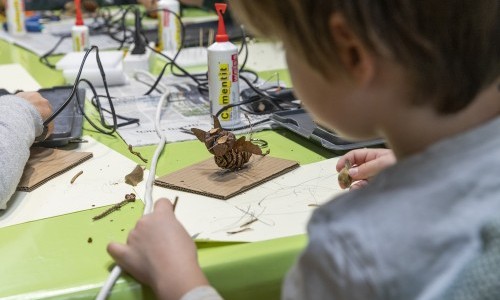 Insekten basteln – Rahmenprogramm «Insektensterben – Alles wird gut»