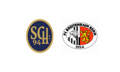 SC Holligen 94 - FC Breitenrain b