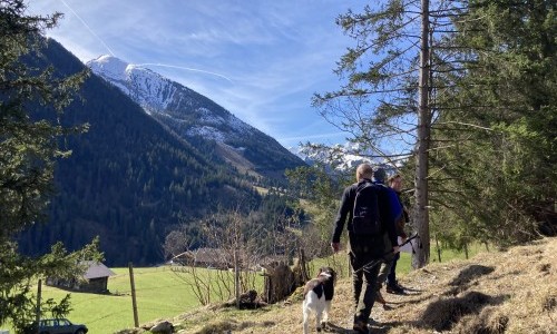 Auf den Spuren von Mensch & Reh