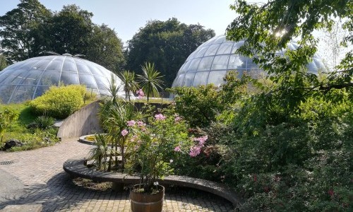 Botanischer Garten