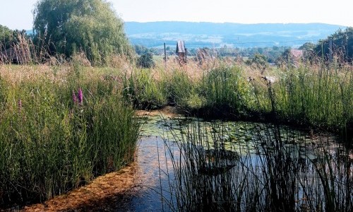 Friedhofkapelle