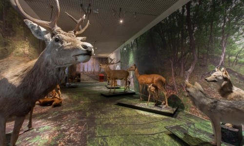 Vernissage - Musée de la Nature du Valais