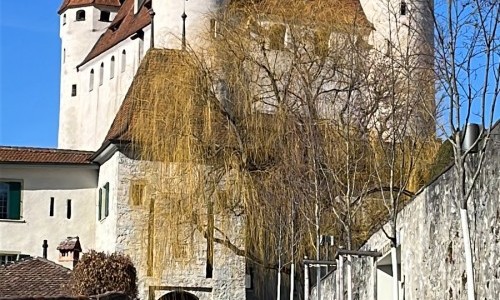 Schloss Thun