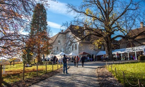 CHATEAU DE LUINS