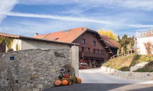 Artisans à ciel ouvert - Domaine des Vignolles