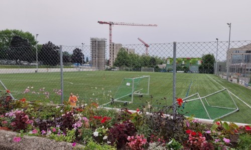 Stade des Libellules - Stade des Libellules