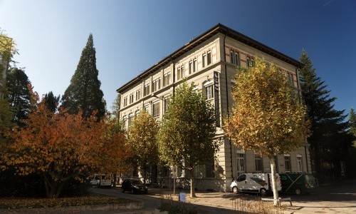 Musée d'histoire naturelle