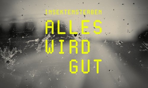 Ausstellungsführung: Insektensterben – Alles wird gut