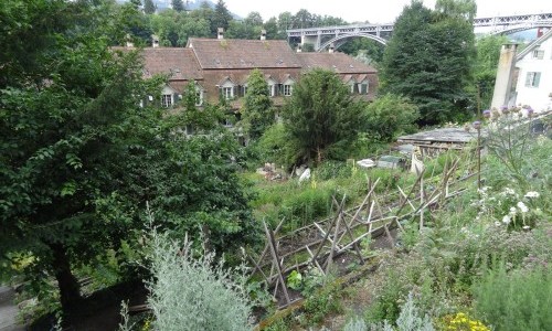 Berner Stiftsgarten