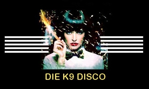 Die K9-Disko