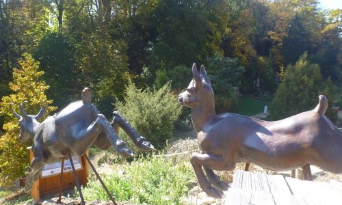 Jardin Botanique