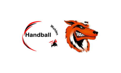 Handball Wohlen - SG Fricktal 3