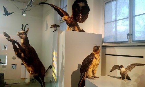 Naturmuseum Winterthur