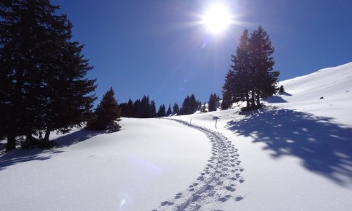 Tages-Schneeschuhtour Buchserberg