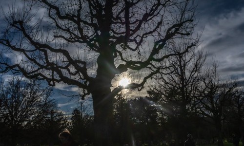 Bremgartenfriedhof