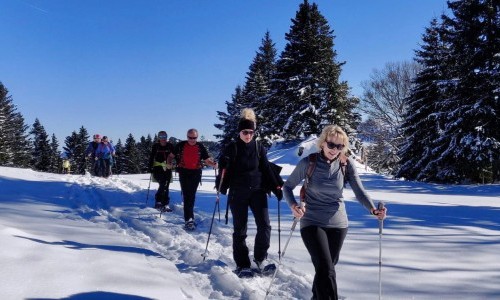 Halbtages-Schneeschuh Schnuppertour