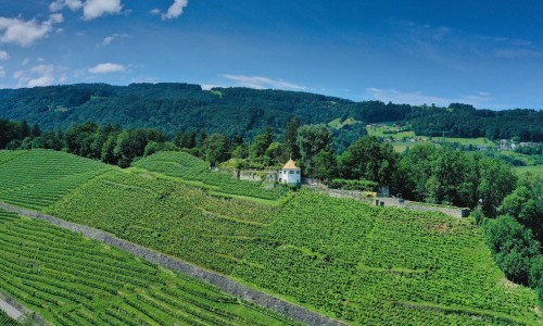 Schlossgarten Rosenberg