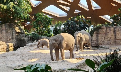 Zoo Zürich