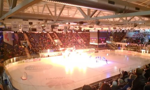 stimo arena