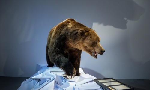 Eiszeitliche Tierwelt – die Weggefährten des Höhlenbären