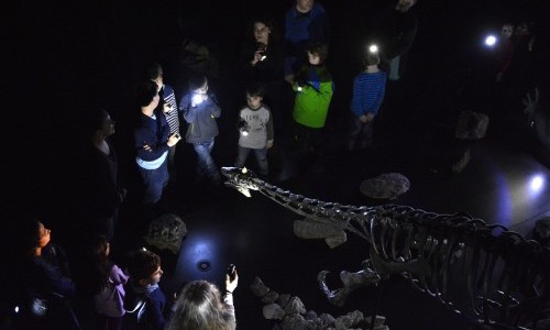 Taschenlampenführung im Kulturama