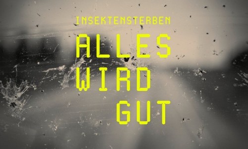 Insektensterben – Alles wird gut