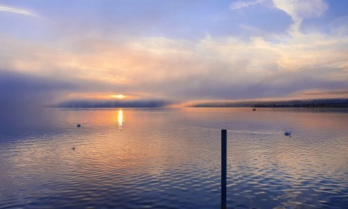 Hafen Arbon