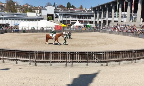 Olma Arena