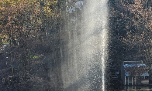 Mühleggweiher