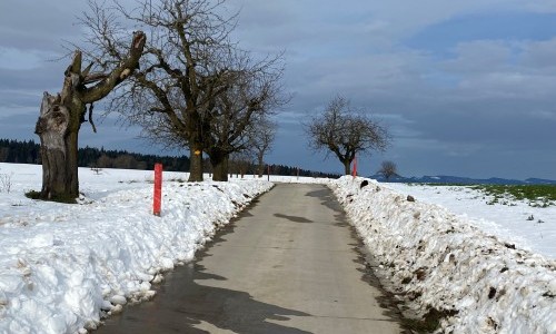 Winterwanderung – Gondiswil – Melchnau – Madiswil